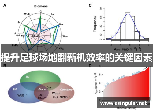 提升足球场地翻新机效率的关键因素